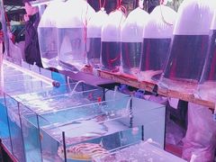 -中环花鸟鱼虫市场
