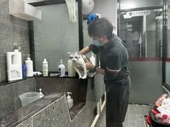 -宠物家(大兴旧宫店)