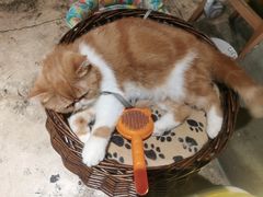 -沐禾网咖(财富店)