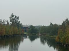 -白鹭湾湿地公园