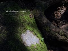 -火炉山森林公园