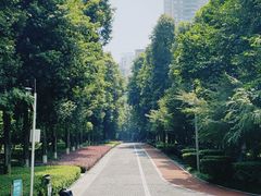 -龙头寺公园