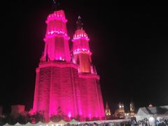 -大岗仙庙烧鸡(海南总店)