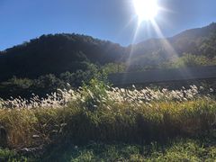 -老象峰
