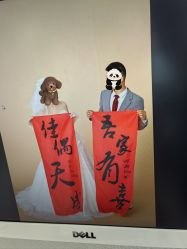 -金夫人婚纱摄影(总店)