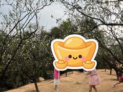 -南国桃园旅游度假区