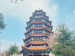 -铁山坪森林公园
