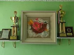 -鑫艺宠物美容培训学校