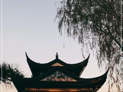 -枫桥景区