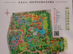 -上海共青森林公园