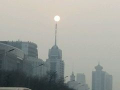 -天泽祥·鼓楼馒头(鼓楼店)