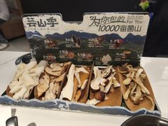 -芸山季·云南山珍菌火锅(南翔印象城MEGA店)