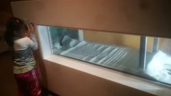 点击看大图 -北京科学中心儿童乐园