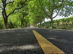-宜兴龙背山森林公园