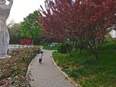 -丰台花园