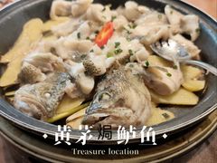 -山水茶艺馆·点心粤菜·30年老字号
