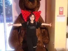 -济州岛泰迪熊博物馆