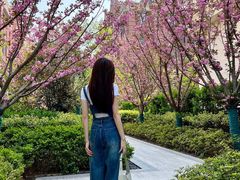 -曼哈顿商业广场(升龙广场店)