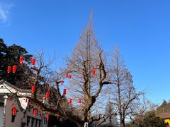 -九华山风景区