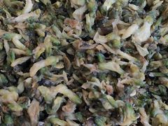 -渔码头食府(蓬莱阁店)