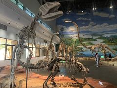 -自贡恐龙博物馆
