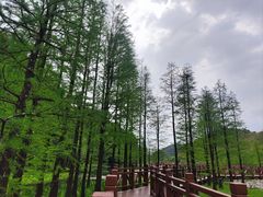 -广州市石门国家森林公园