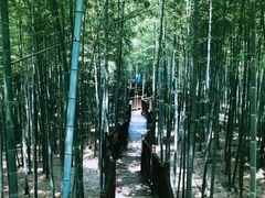 -陶祖圣境风景区