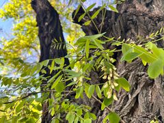 -国家植物园南园