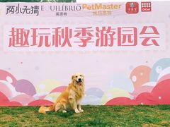 -趣玩宠物乐园寄养训犬训狗游泳池