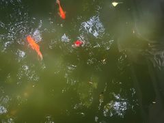-万寿八仙宫