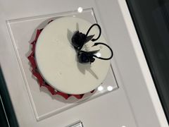 -BLACKSWAN黑天鹅(环球店)