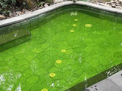 -碧桂园润杨溪谷温泉酒店