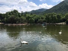 -西安秦岭野生动物园