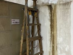 -阳光游泳培训基地(天通苑店)