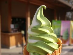 -豆政(金閣寺境内売店)