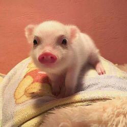 -斐尔国际皮肤管理中心