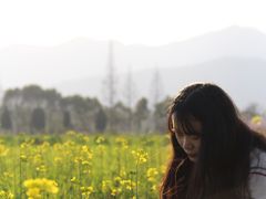 -长田漾湿地公园