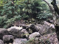 -白云源风景区