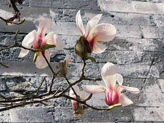 -东华门大街小区