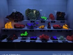 -湖南省地质博物馆