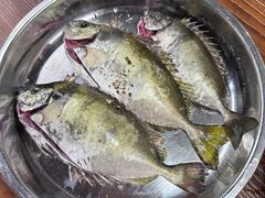 泥芒-顺德粥城·叹茶食粥(良化店)