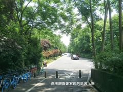 -西湖风景区-江洋畈生态公园