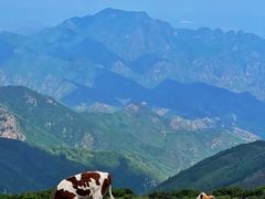 -灵山