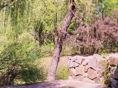 -贡湖湾湿地公园