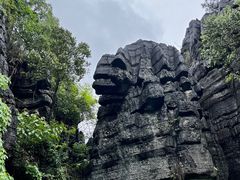 -梭布垭石林景区