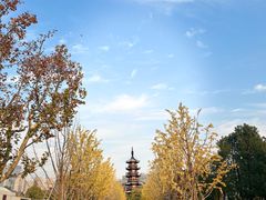 -龙华素斋(龙华路店)