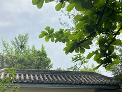 -西安青龙寺遗址景区