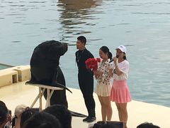 -秦皇岛乐岛海洋王国