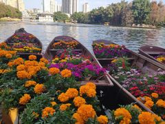 -荔湾湖公园