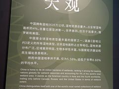 -中国湿地博物馆